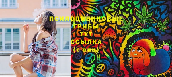 таблы Белокуриха