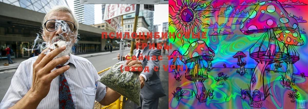 таблы Белокуриха