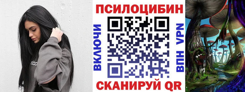 даркнет сайт  Киреевск  OMG ссылки  Псилоцибиновые грибы мухоморы 